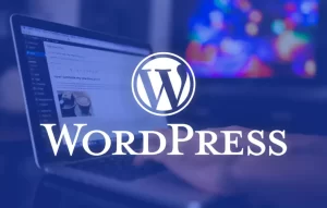 Website Design with WordPress