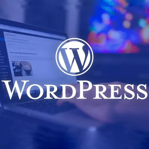 Reasons why WordPress is free