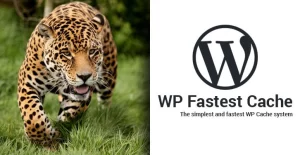 افزونه WP Fastest Cache : افزایش سرعت کش